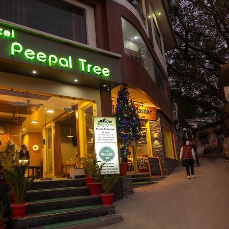 Hotel Peepal Tree Rishikesh Exterior photo